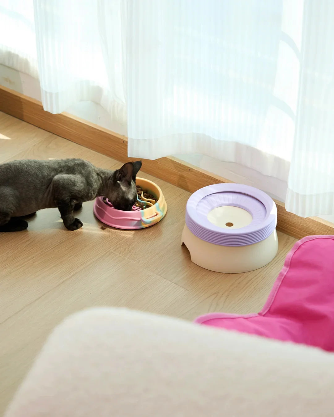 CharPaw non-slip silicone slow feeder pet bowl and food dish on wooden floor