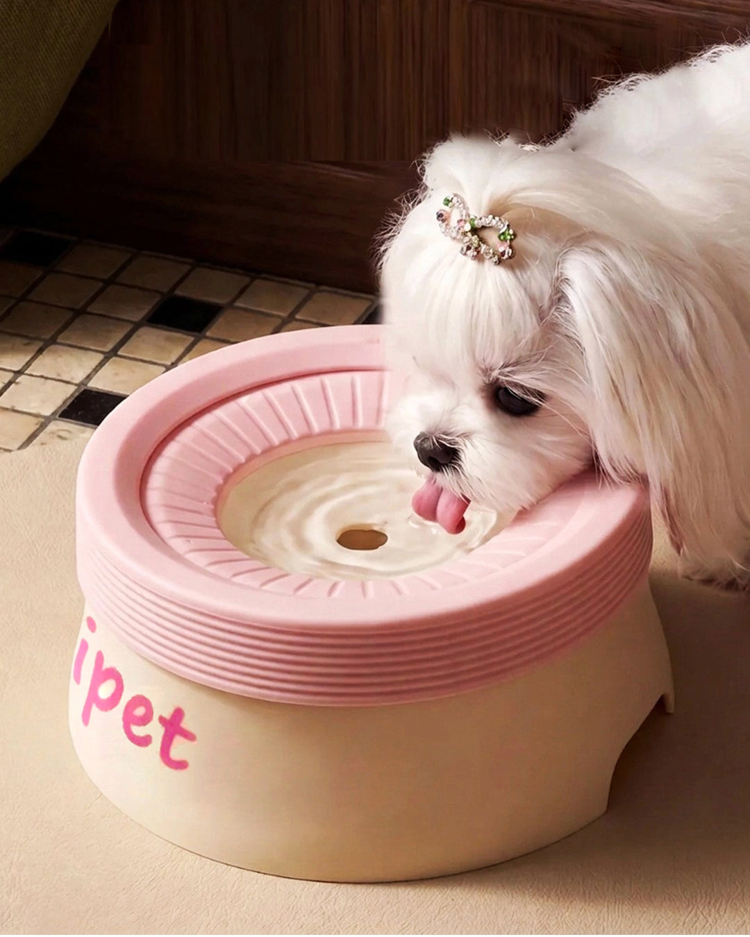 Small white dog drinking from CharPaw Pink anti-splash water bowl