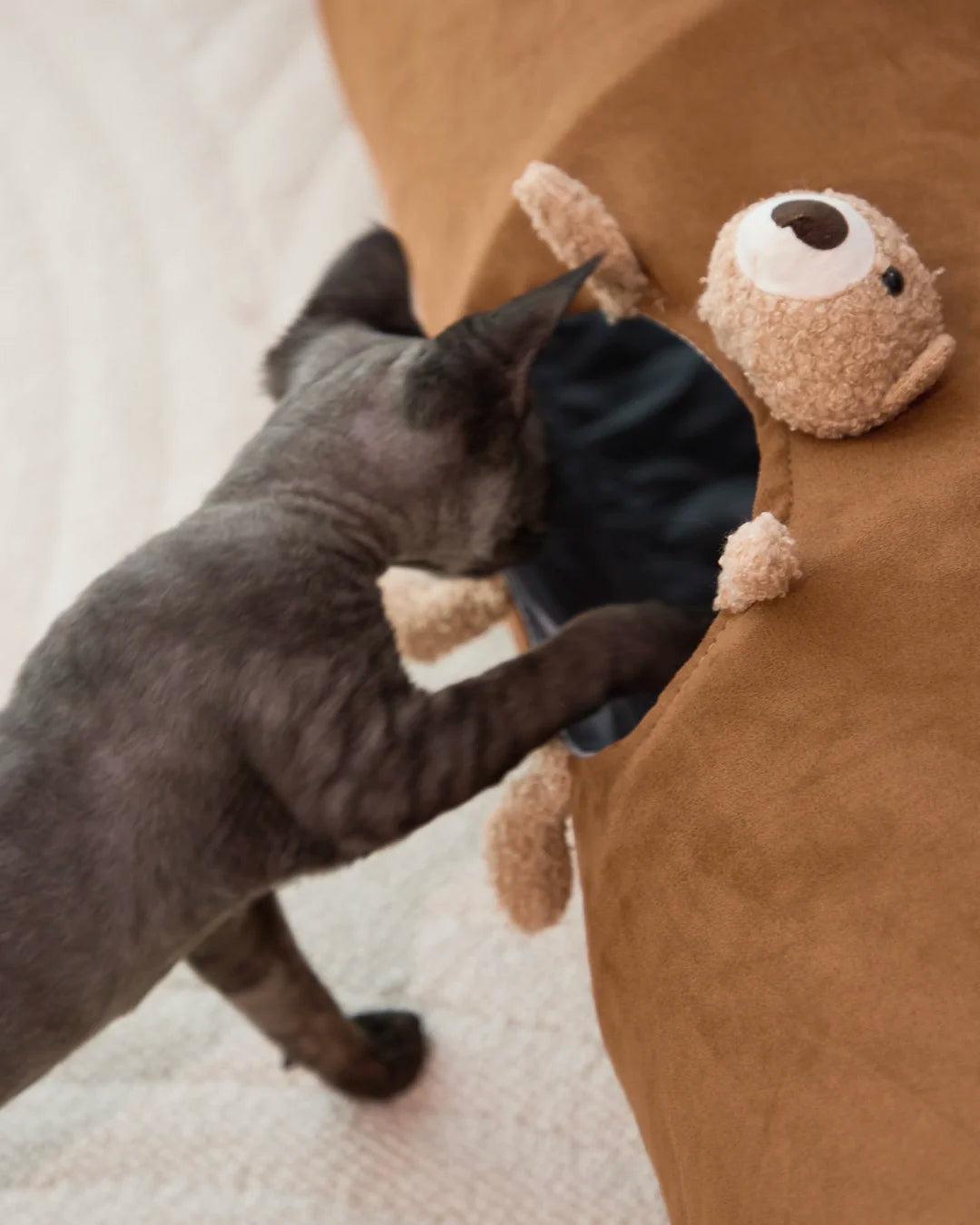 Black cat exploring and playing in CharPaw brown plush cat tunnel toy