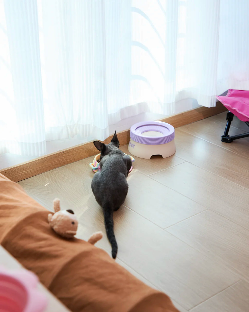 Indoor cat using CharPaw slow water dispenser bowl to keep fur dry