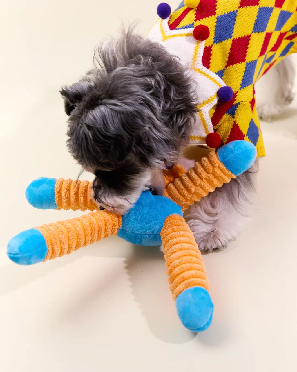 Schnauzer dog biting and tugging CharPaw multi-legged plush squeaky toy