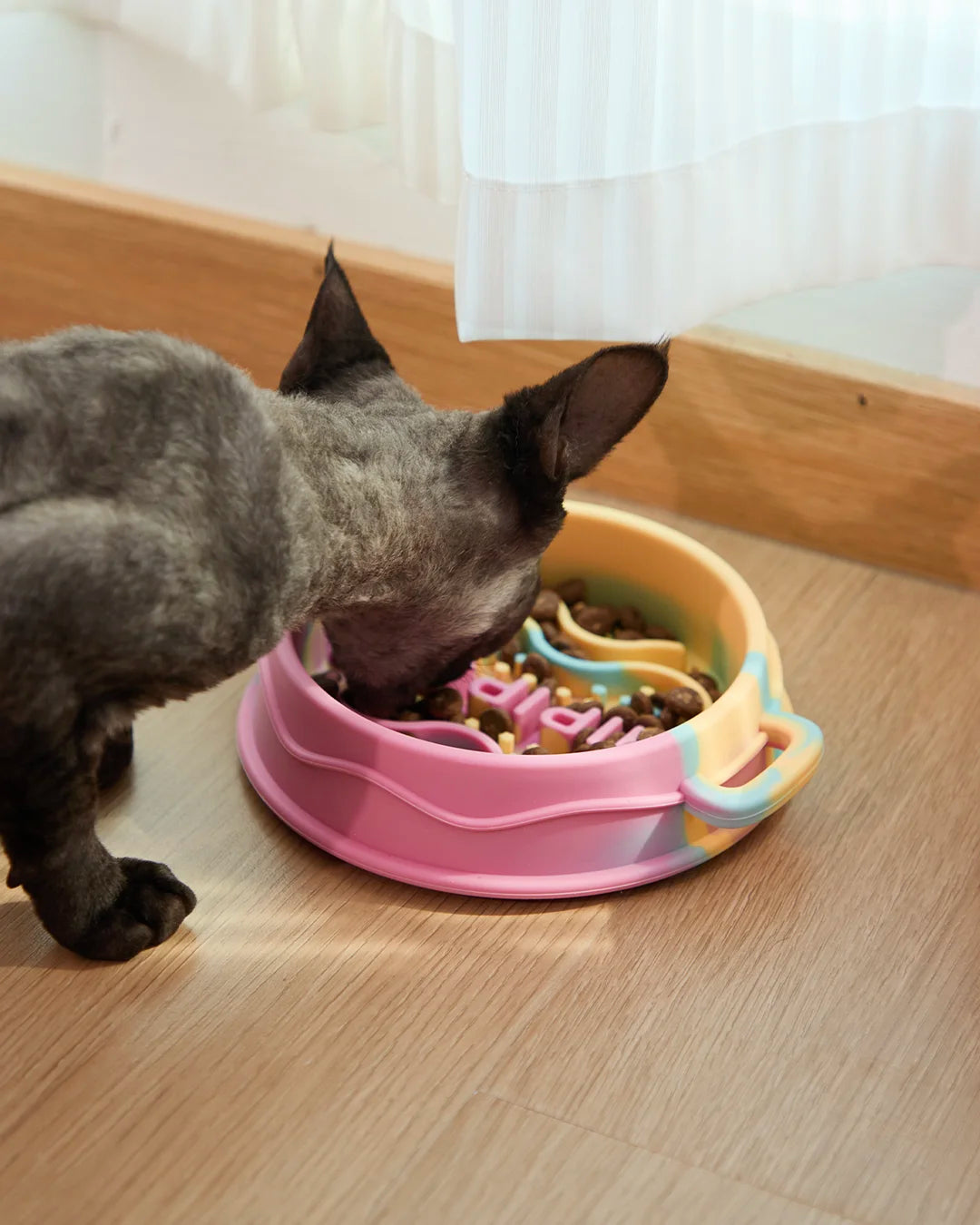 Cat eating from CharPaw silicone slow feeder bowl to prevent bloat and fast eating
