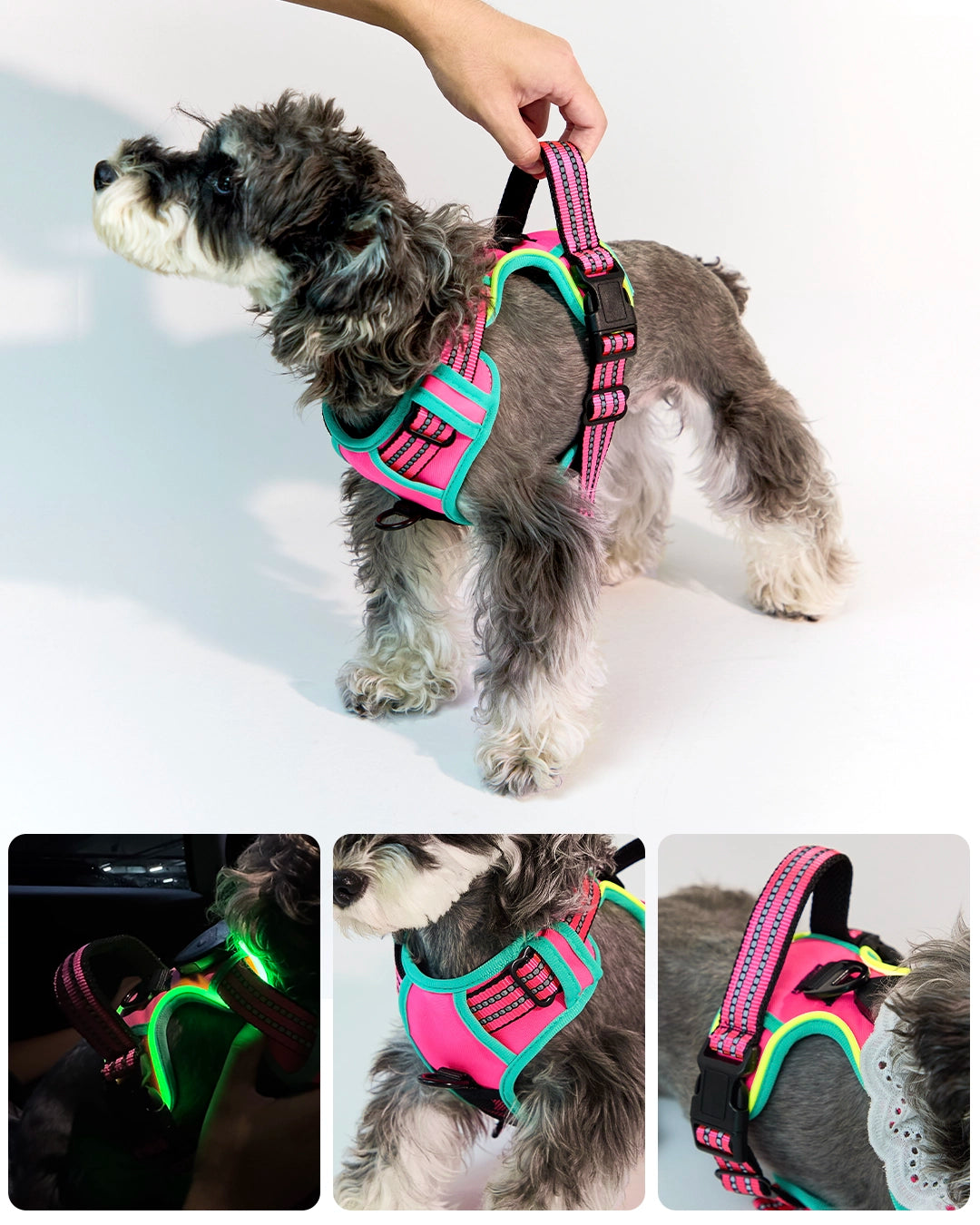 Detailed view of Type-C charging port, back control handle, and zinc alloy D-ring on pet harness