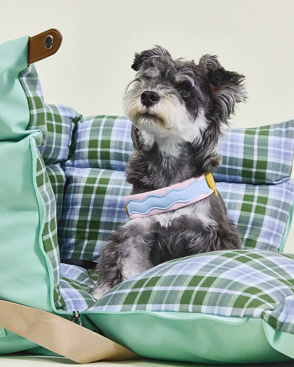 Cozy pet wearing a stylish harness lounging in Charpaw's green plaid booster seat for cats and dogs.