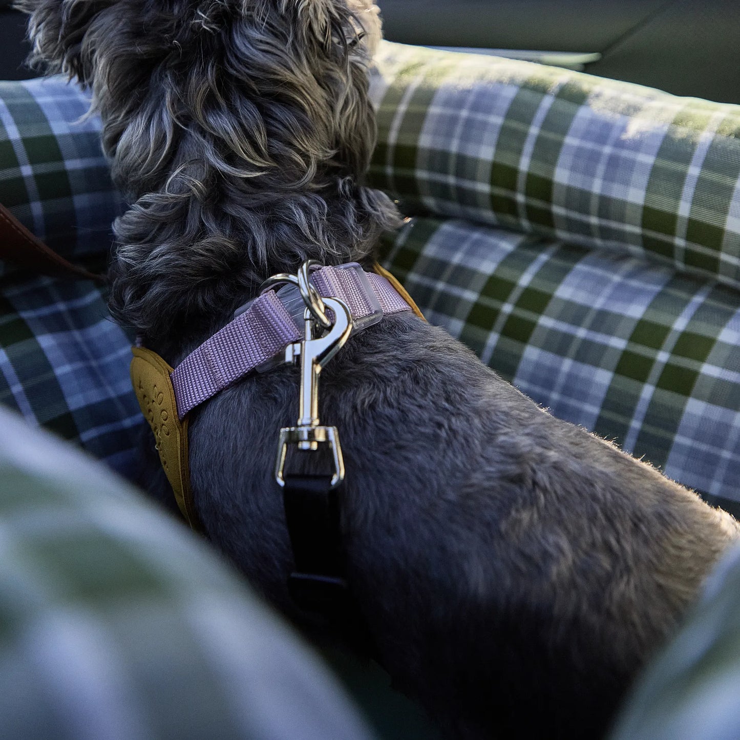 Close-up of the integrated dog car seat safety tether attached to a harness to keep dogs or cats steady.