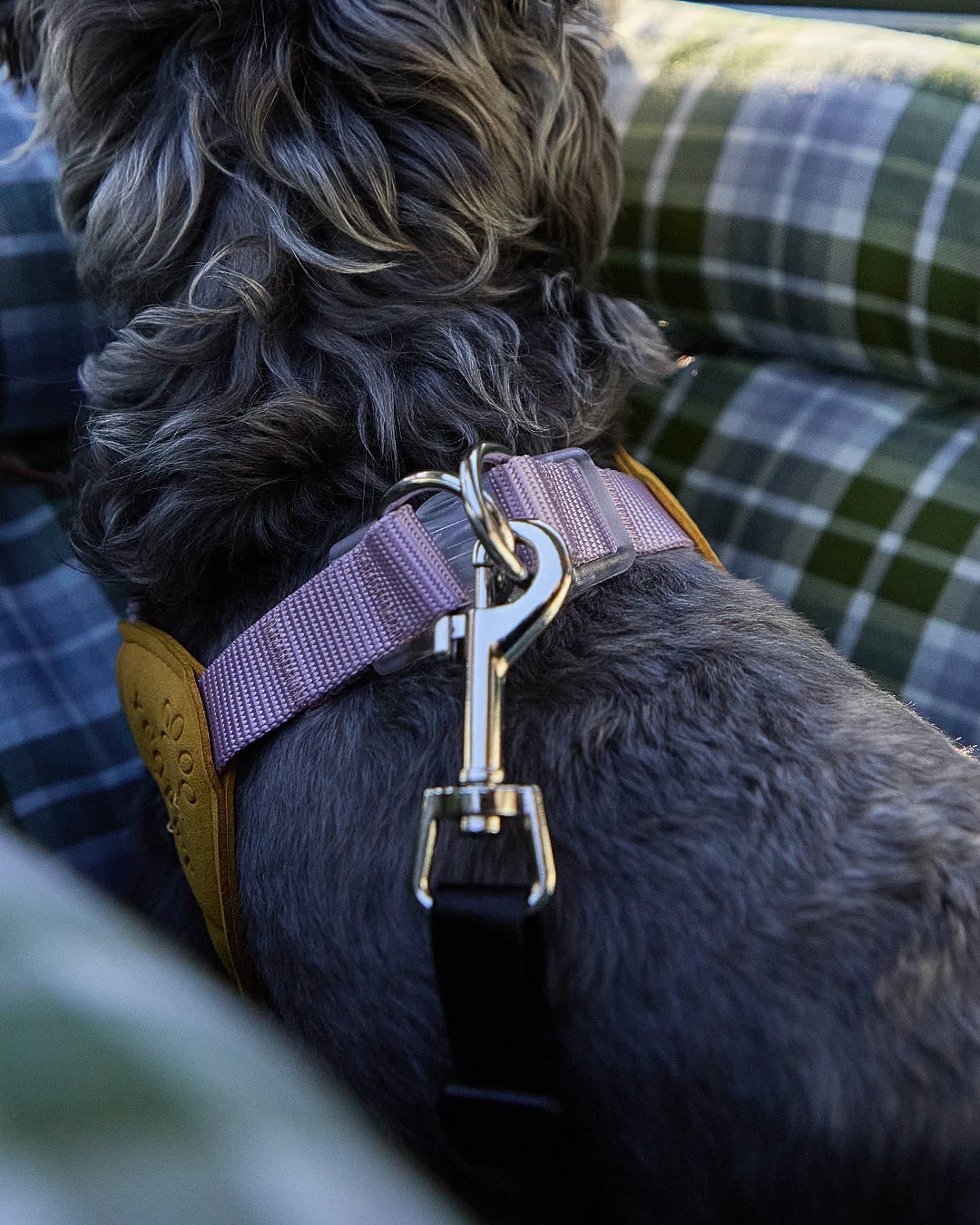 Close-up of the integrated dog car seat safety tether attached to a harness to keep dogs or cats steady.