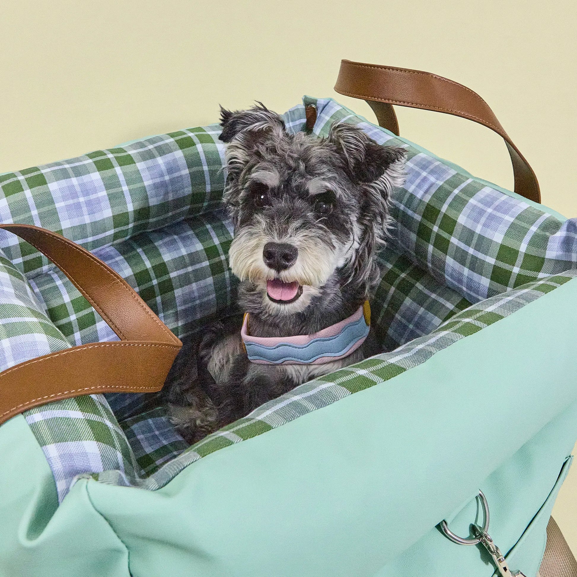 A calm dog resting in their travel bed, designed to protect car upholstery from muddy paws and stray pet hair.