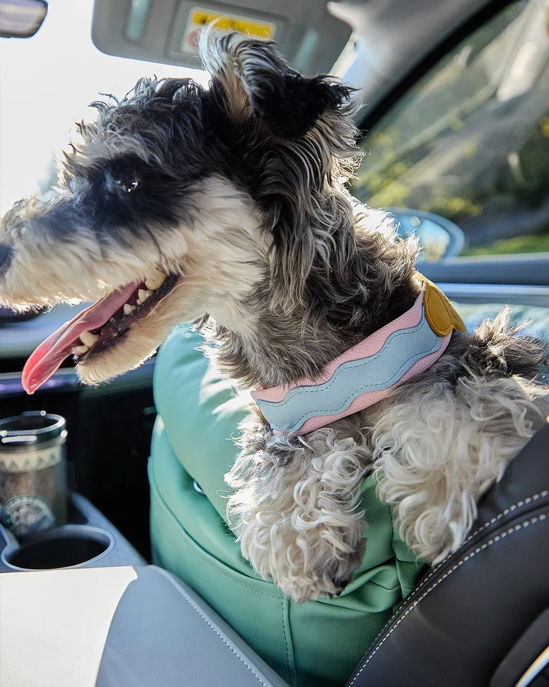 Dog secured in car seat wearing adjustable no-pull harness