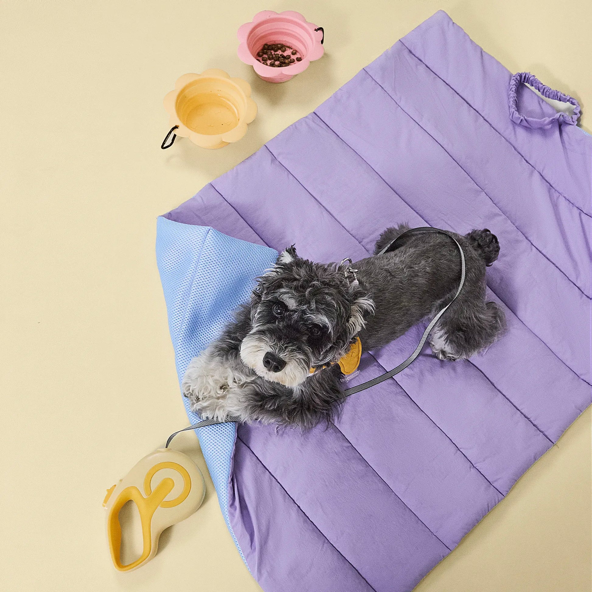 Dog sitting on purple portable pet mat