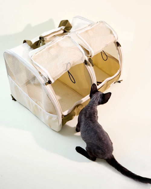 Dual-compartment pet carrier bag in khaki with a black cat looking inside