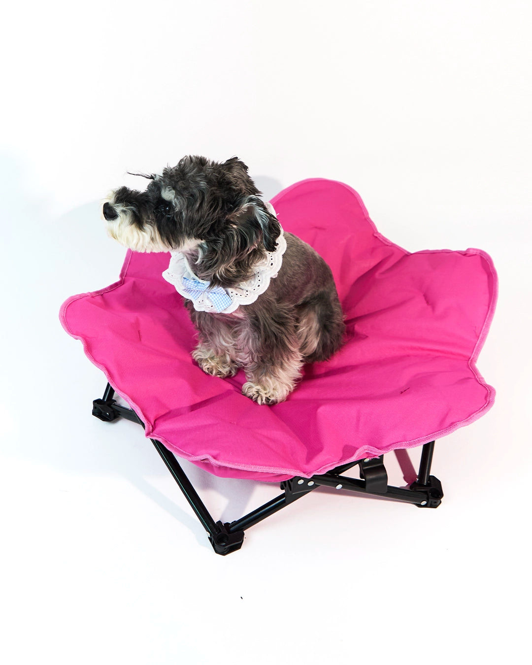 Pet lying on a soft rose red flower shaped foldable dog lounge chair