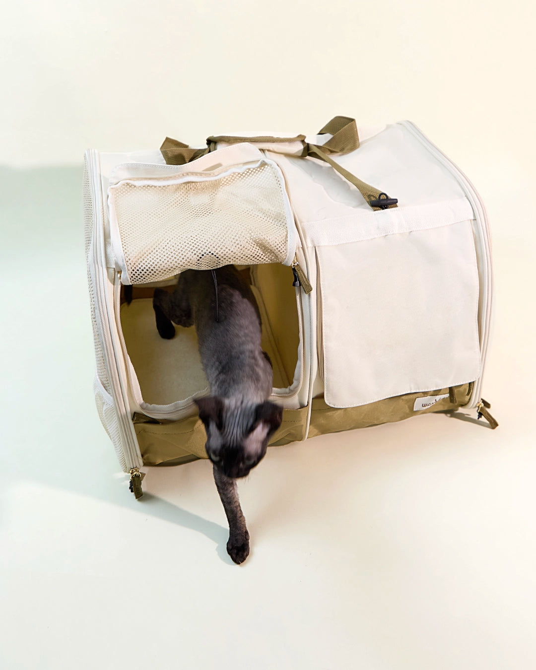 Cat stepping out of a dual-compartment soft pet carrier bag