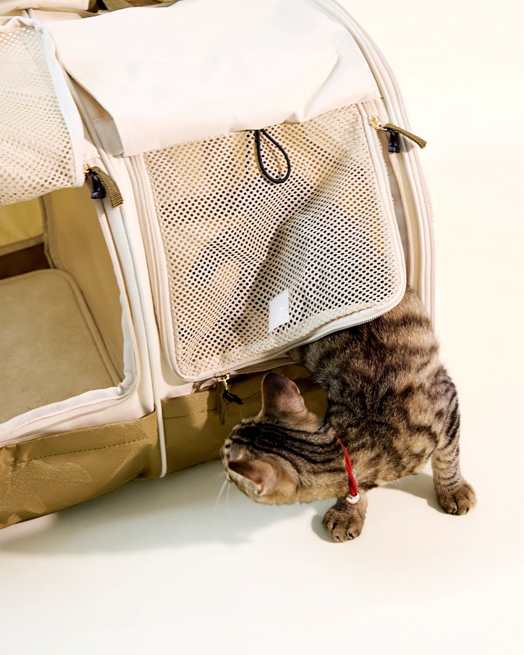 Soft-sided dual pet carrier bag with mesh windows and two cats