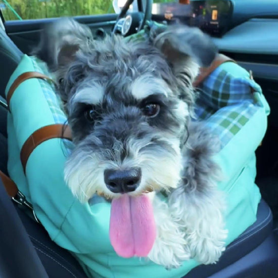 Charpaw soothing dog car seat with protective bolsters, waterproof and machine washable pet travel bed for small to medium dogs