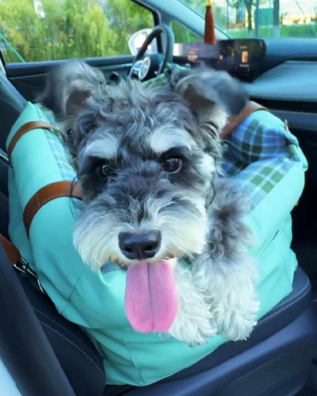 Charpaw soothing dog car seat with protective bolsters, waterproof and machine washable pet travel bed for small to medium dogs