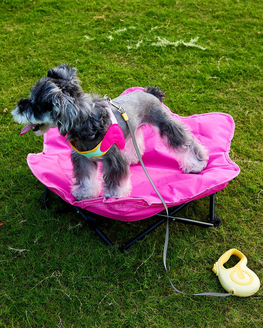Small dog sitting comfortably on a rose red hexagonal outdoor pet chair