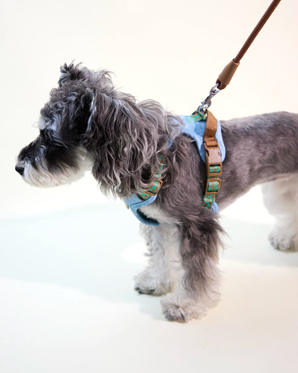 Side view of a small dog wearing an embroidered denim harness