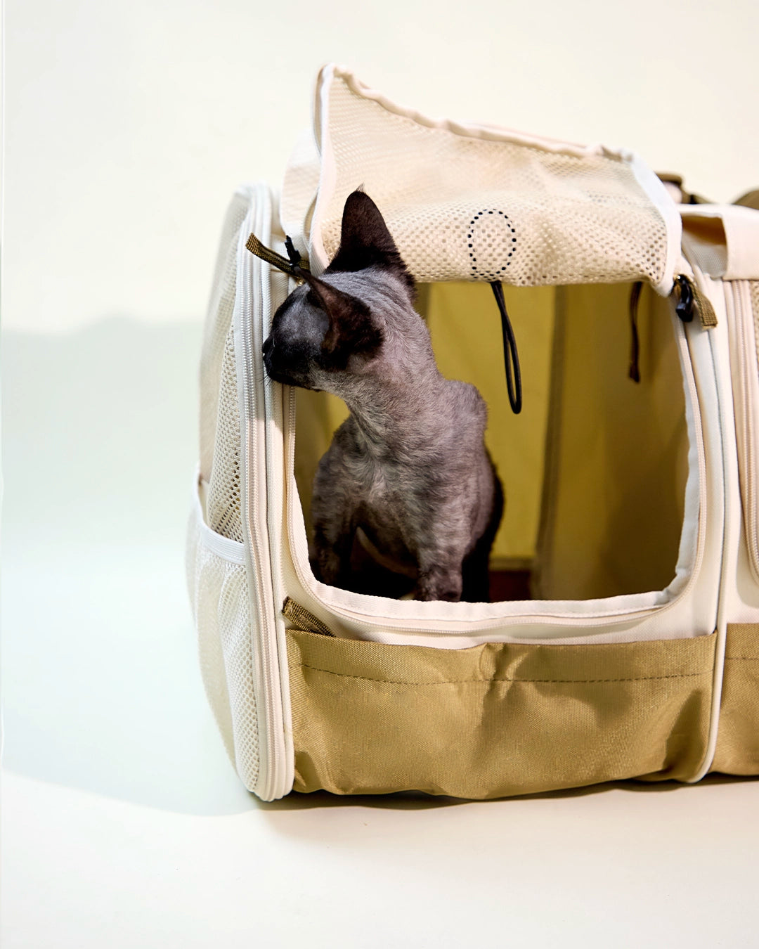 Dark hairless cat sitting comfortably inside a dual pet carrier compartment