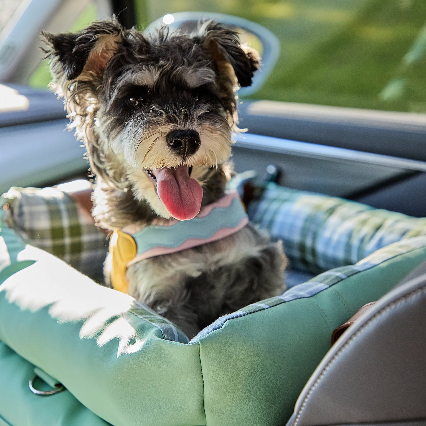 A happy small dog enjoying a smooth ride inside a water-resistant and slip-resistant seat, designed for dog and cat anxiety relief.