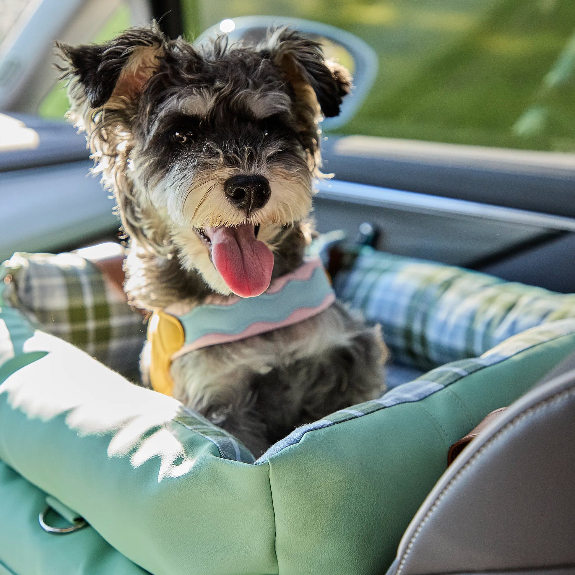 A happy small dog enjoying a smooth ride inside a water-resistant and slip-resistant seat, designed for dog and cat anxiety relief.
