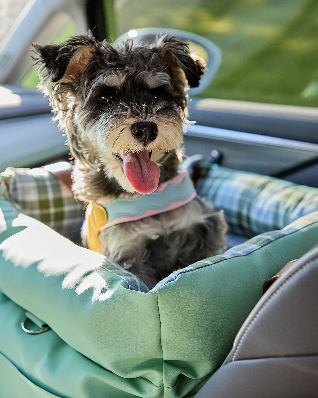 A happy small dog enjoying a smooth ride inside a water-resistant and slip-resistant seat, designed for dog and cat anxiety relief.